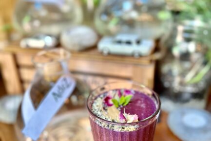 blueberryhill_adez