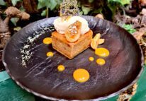pumpkin_cak-aspect-ratio-206-143